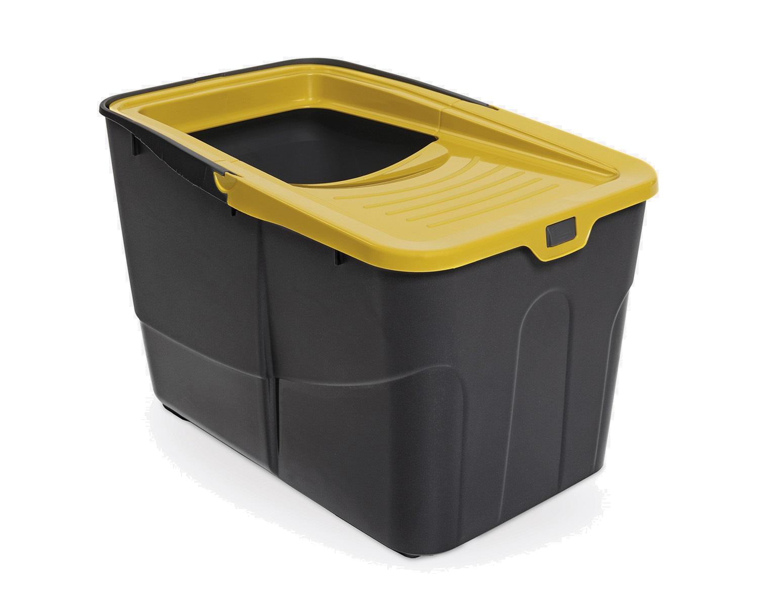 Img_buxo_open_giallo